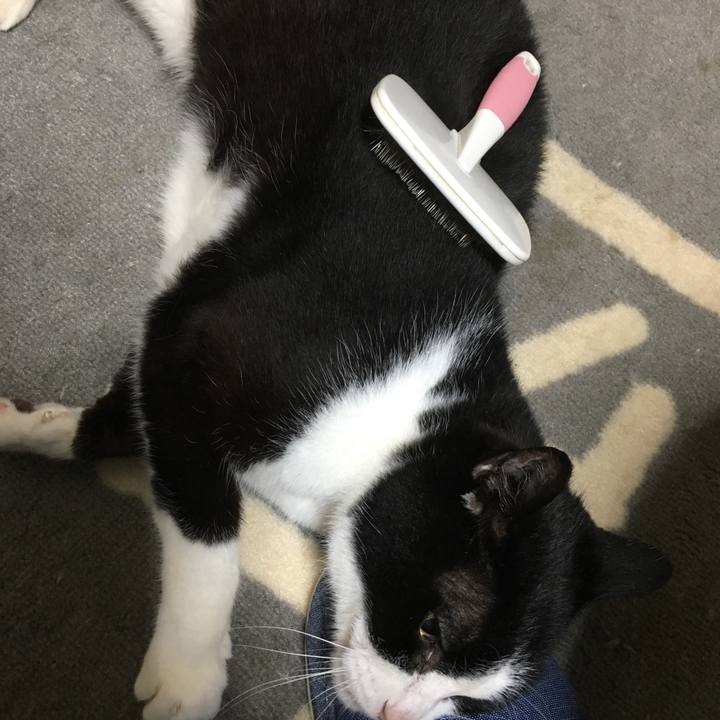 Be262006 d64e 44f9 aef6 a2bcaf750e8e 1529759299519