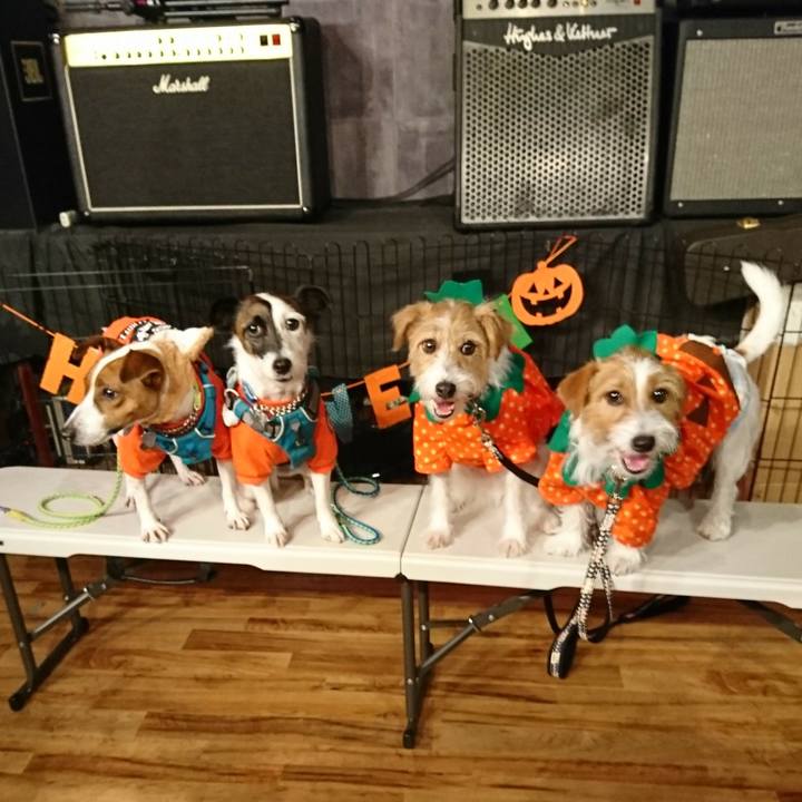 Be26694f 1b97 4630 a9d1 8e9a0da4e50b 1572175923838