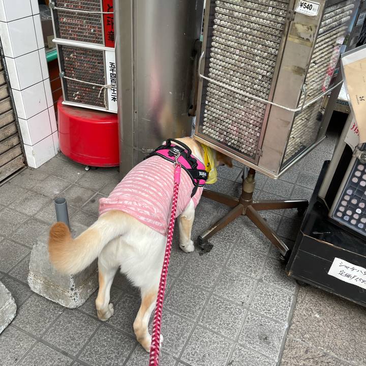 Be26b8d8 41ed 4f78 8ab6 3d1685da2f02 1627741206453