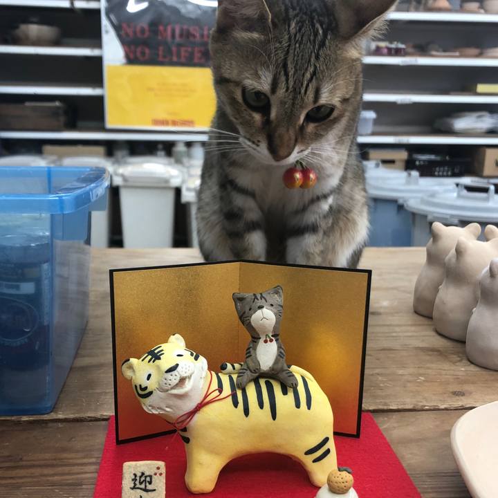 Be26f37c 24be 4e8a a17d 8c376ea3ed1b 1634384179725