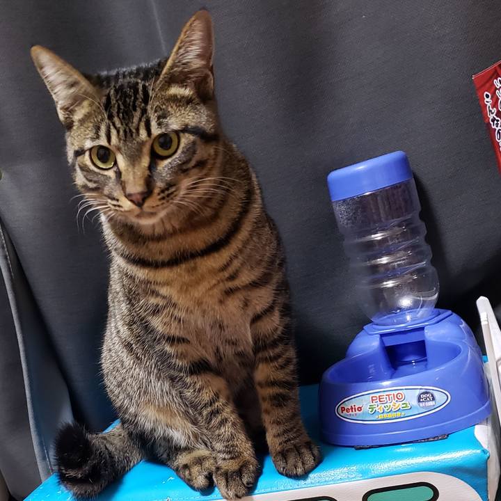 Be2732cd 9a42 4d8b b2e7 b4bea952de4c 1547669362795