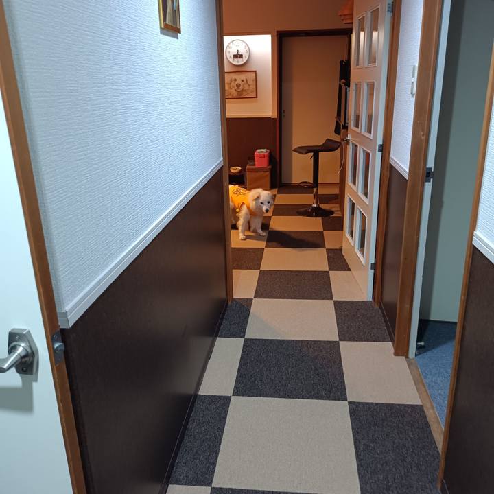 Be2772f1 f5d9 44b9 bde6 3a425a831f5f 1754772633317