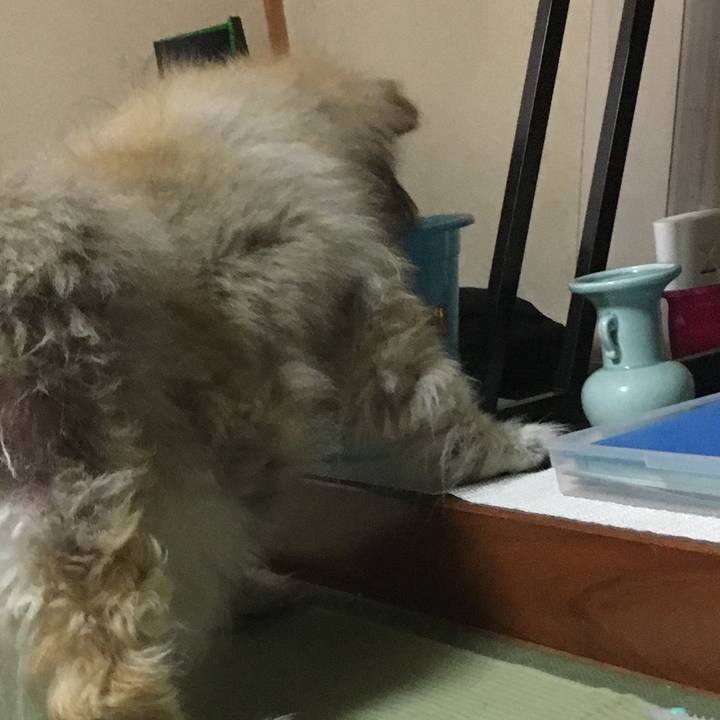 Be27c8ee b44d 4977 b715 cdc984a58a68 1564973196563