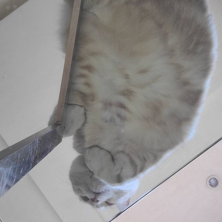 Be27fe2c 8e18 4723 8165 1625e089c745 1627510560604