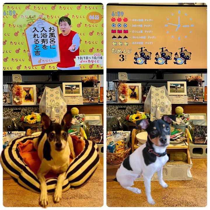 Be280543 04a2 490e 9943 9e301212fb41 1665353286489