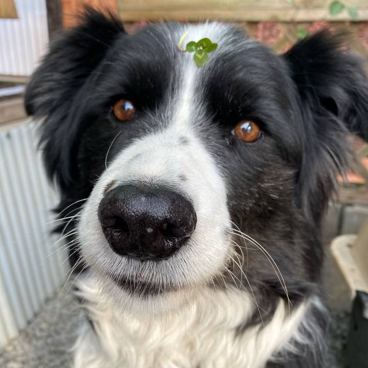 Be281b5a e687 484b bd32 049fed3b70f9 1613089809997