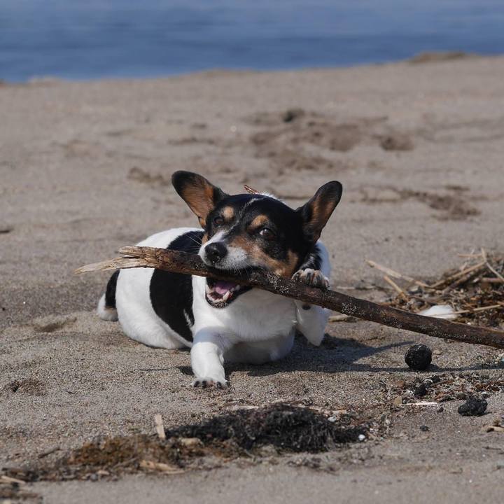 Be284a64 8a46 470f 97ed 6c048cb66db8 1679891047992