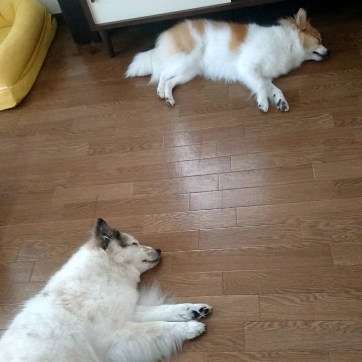 Be286a07 a149 4bbe 9fb5 32bf959412df 1600860217764