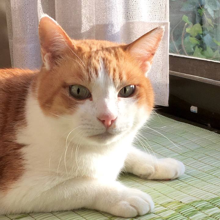 Be288c1e 6ee6 48ec 9404 f617dcfdcc95 1579504711783