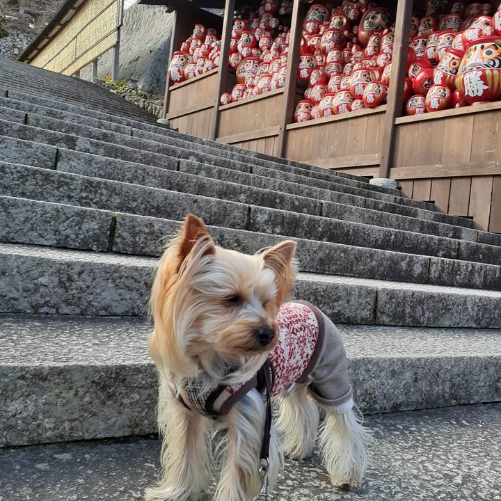 Be2896c1 b27b 4636 b2e6 a9630f009728 1611816360730