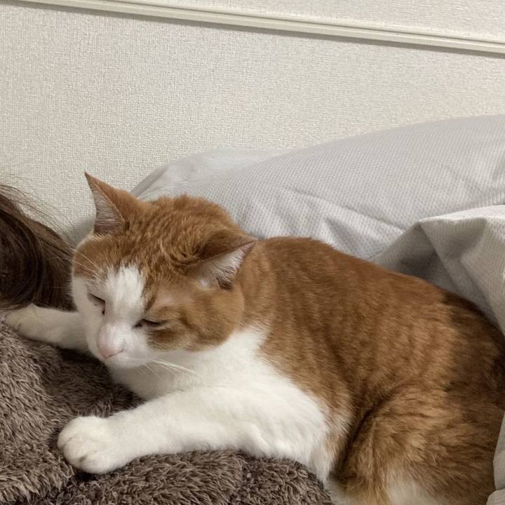 Be28979f ad66 4837 a7b6 9302214fc6ff 1673788246196