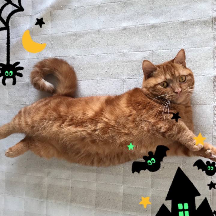 Be289f65 a300 40b6 a99e 1902a5ff38ad 1572521857937