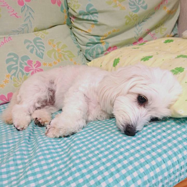 Be28b148 de27 4f2e 930c bfed0c844420 1508216536894