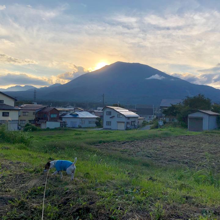 Be28b2f6 1fbe 44cc a58d c85f5280db62 1567766561622