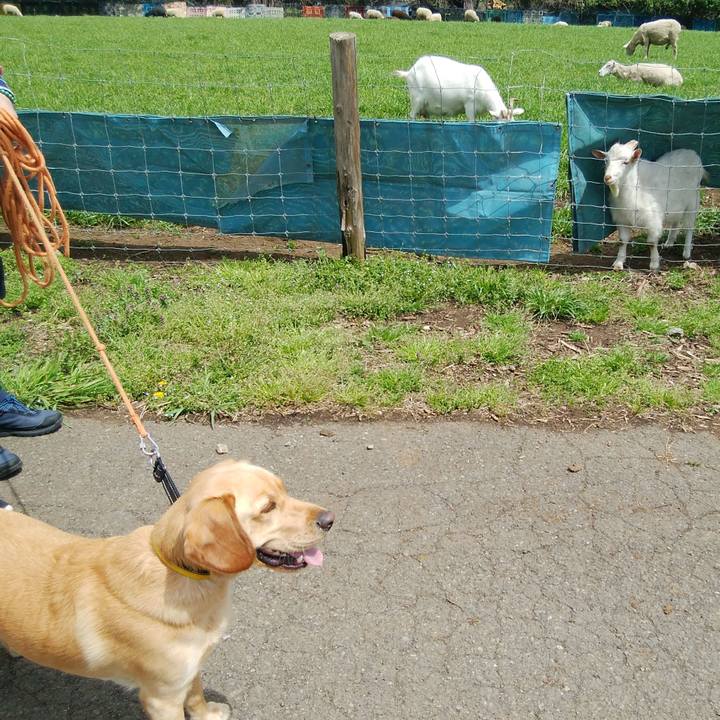 Be28bb18 696a 40b6 8ec5 43a43056977c 1523083208300