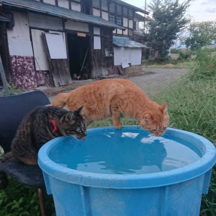 Be28f7fd a62b 4459 a6ad bec88849921f 1663058755068