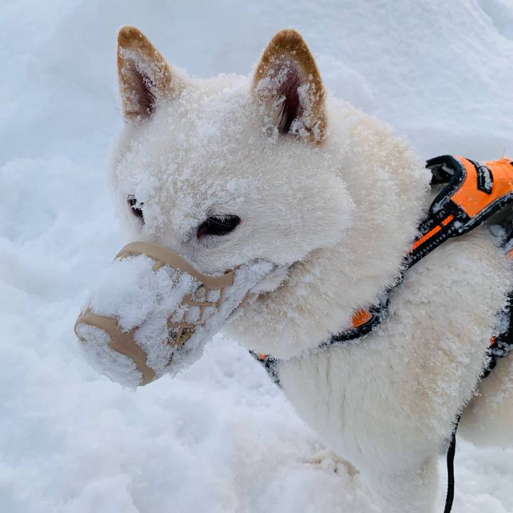 Be290160 5bc5 46b1 a4a3 83bf4c1c7363 1673221831460