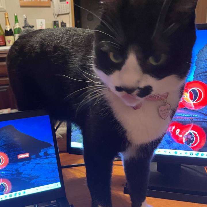 Be295ec2 d4b8 4e8f b292 22001620d765 1713615407191