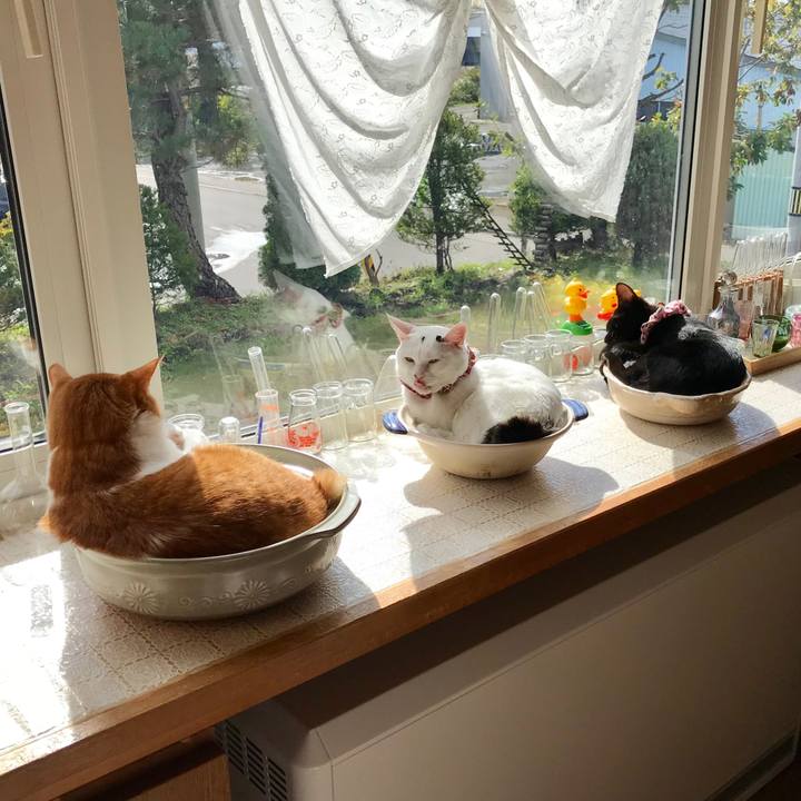 Be29628c 7a27 43cd 914b 24342b300aba 1570324305808