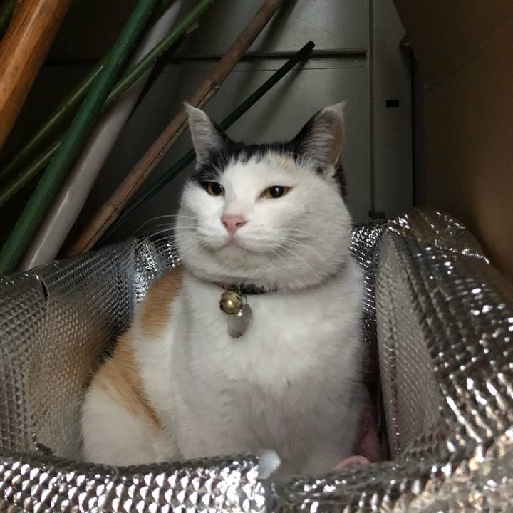 Be297d96 5e1e 4c7b a901 6d236c57e1de 1612391171603