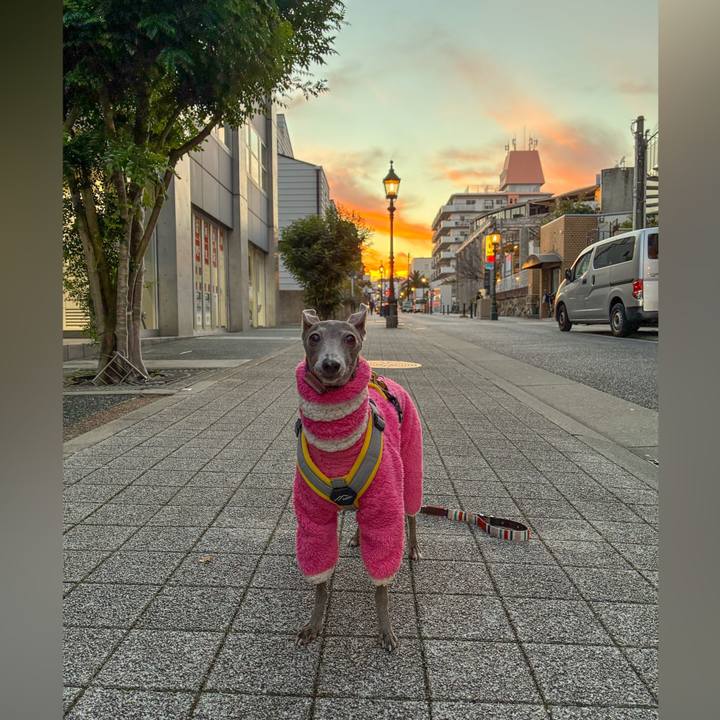 Be299657 f330 452e afb3 4cbb0341053f 1766134812426