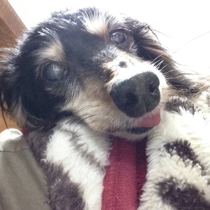 Be29b8be 6fec 4518 8cdd 77195dac5b12 1641697953684