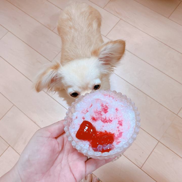 Be29c7b2 de78 4fae 9e1c b5fd9f97941c 1657284266569