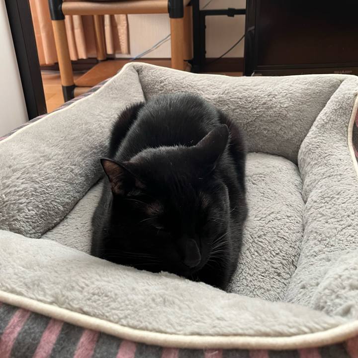 Be29ef69 33b2 4a4d 8fb0 8f8070aa1149 1640302506321