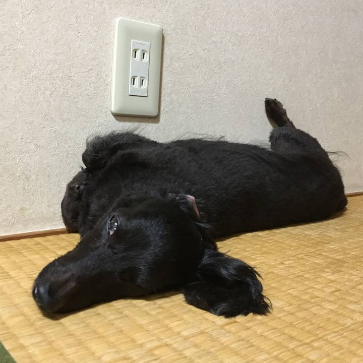 Be2a08f5 8306 4a0a a7d3 7f6198d8be47 1535987609722