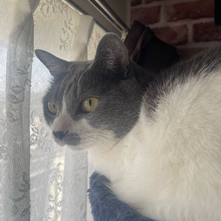 Be2a1b6e b7f6 44eb b724 3ea27b6f8944 1681426168258