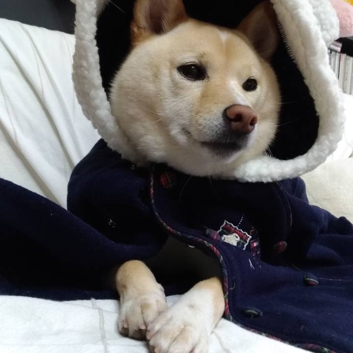 Be2a2f51 c6de 41de bb22 0d7838b8e1ce 1591007876655