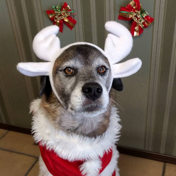 Be2ac747 2aae 4ec2 af83 f9f3f12e214b 1545616856468