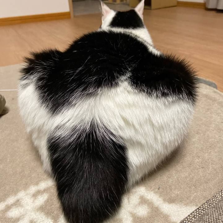 Be2ac956 3623 45dc 87d1 1668fc8be771 1587732250355