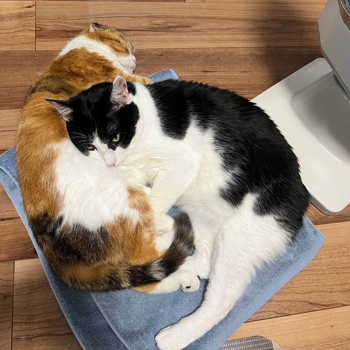 Be2acd45 d6f4 4bbb bb03 cae4bce51f54 1737430273226