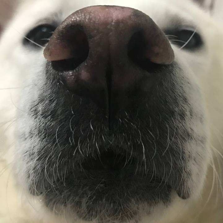 Be2adf66 272d 4b53 beaf 331c3484d635 1523446899435