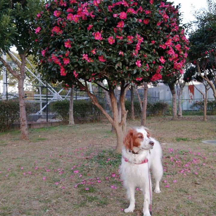 Be2b0d39 bc43 4644 8927 ed881d36a4d3 1607506744033