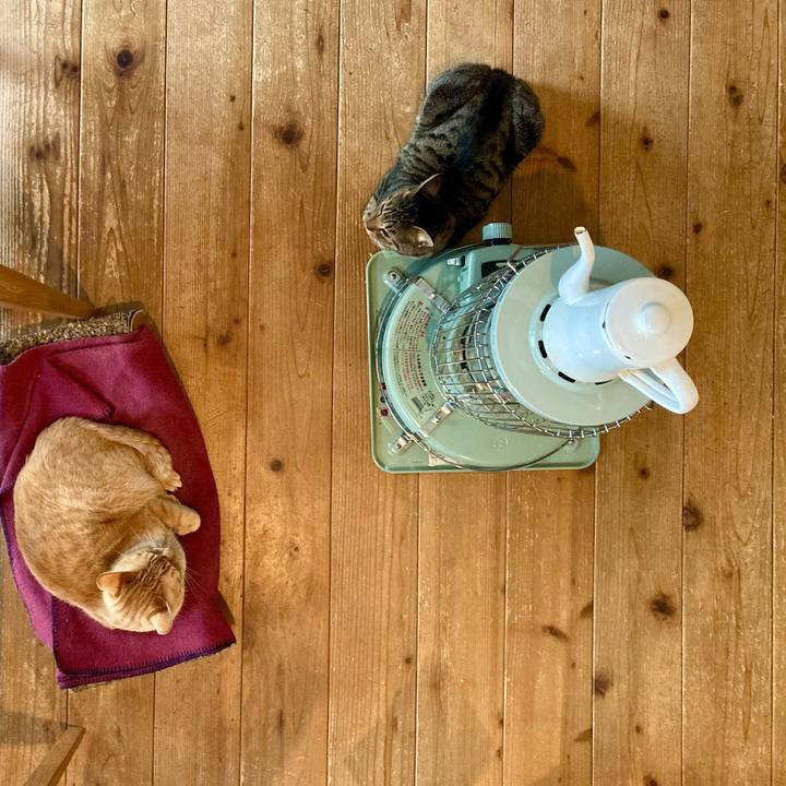 Be2b1af2 a46f 4027 920a d10bad9ed4db 1705708681378