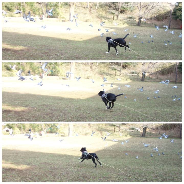 Be2b2e0c d1c9 408a 9079 30dca6f2ba40 1646960519713