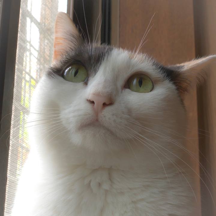 Be2b5048 b9c8 4db6 9c4d 12c9a8fd48d6 1557797176728