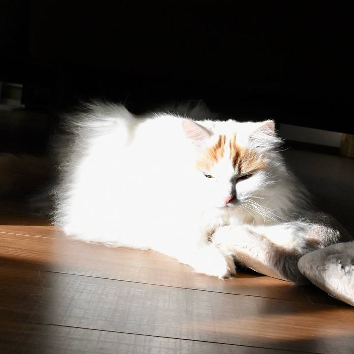 Be2b9a93 3d21 4e54 8519 517a9b546aa7 1770262874004