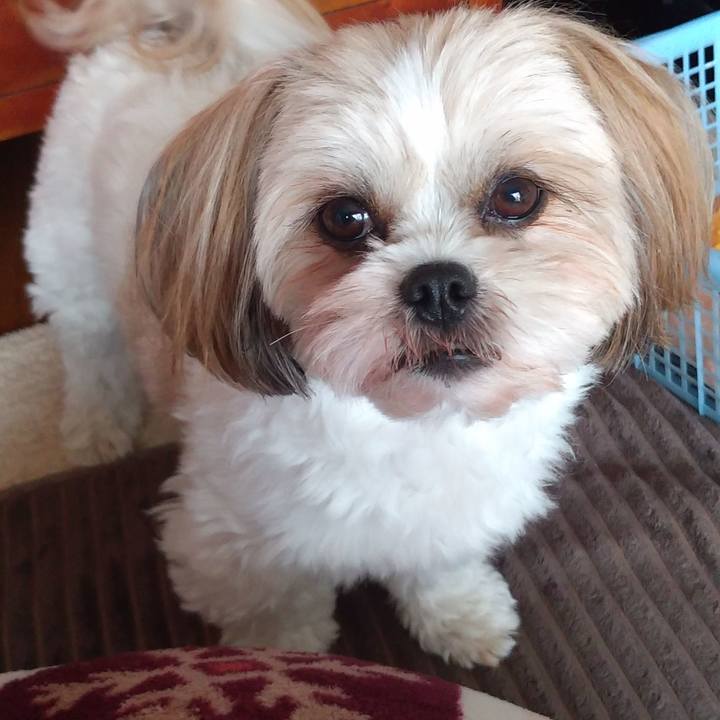 Be2ba4eb a378 42cf a446 cb5a89bd2a61 1615272248178