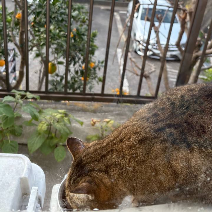 Be2c017d 95af 4fd4 8b52 89e180289244 1765410739315