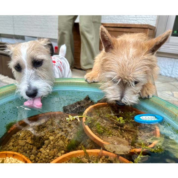 Be2c0a45 fb8d 4006 988c d54f0bc8e54a 1708267978804