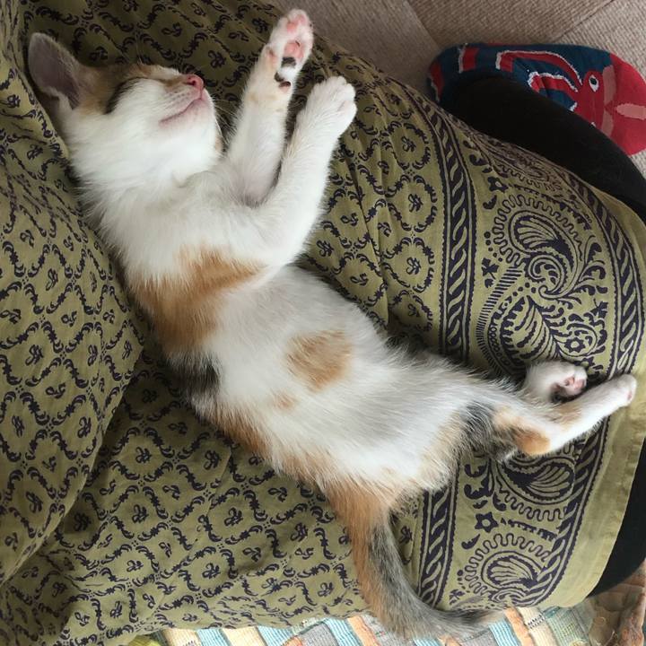 Be2c3a19 674a 4ddd 81aa a060a55e3498 1561172126744