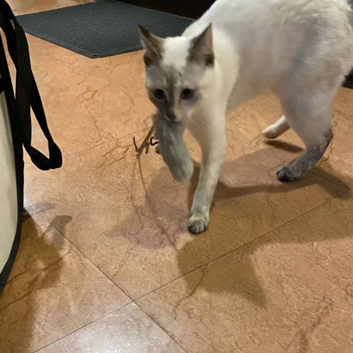 Be2c83bf bf47 4f3f 8104 3baf2b8dd87e 1637832926046