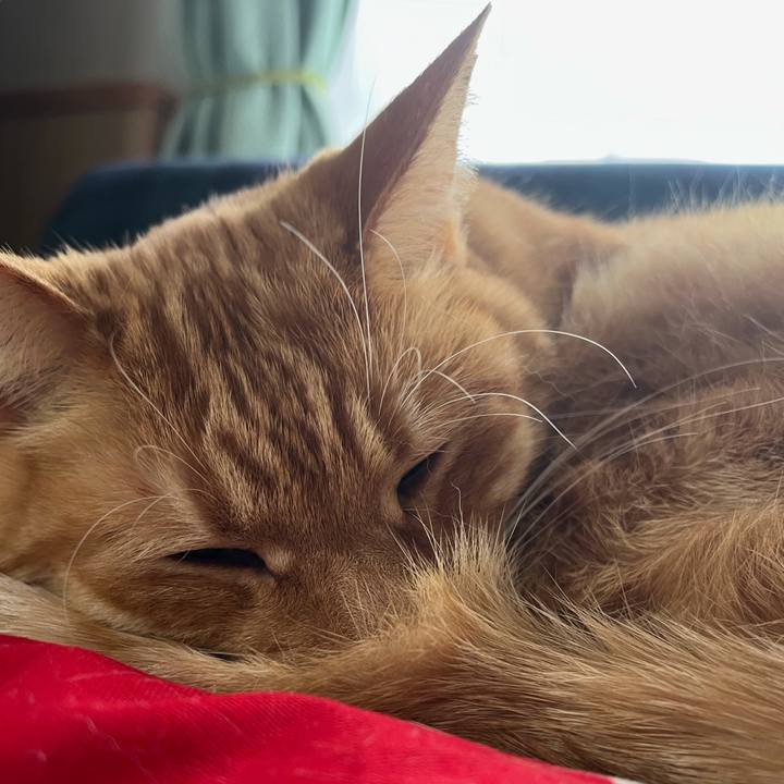 Be2c88ba f440 4f70 a0cf 5e66ec15168b 1776850681872