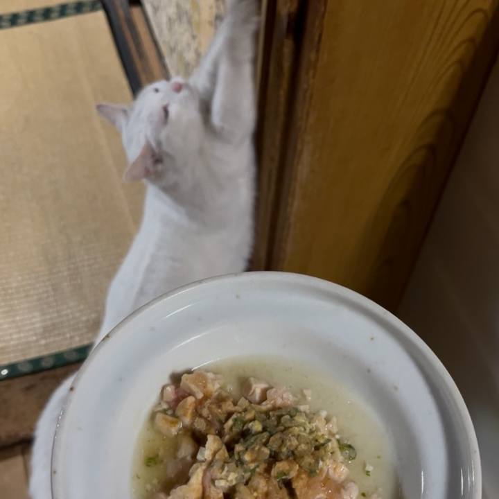 Be2c913a fe9c 4703 b21e 1318fcb15d70 1765026813418