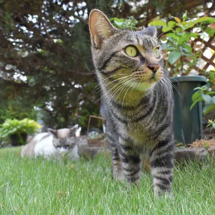 Be2cb886 7e50 4cb3 8098 8634ab1d3957 1533948611412