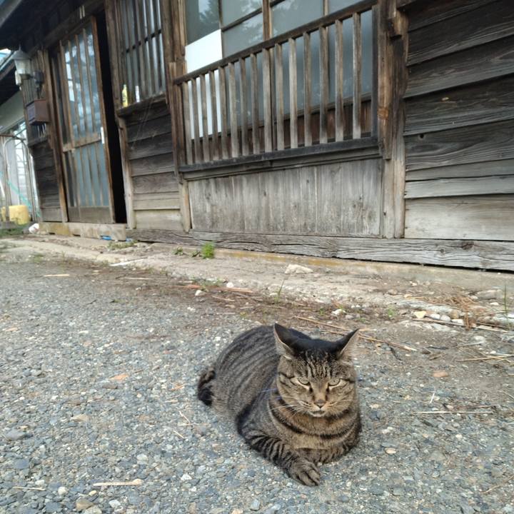 Be2cd40c b0ed 4d36 8975 5595be336970 1694384990020