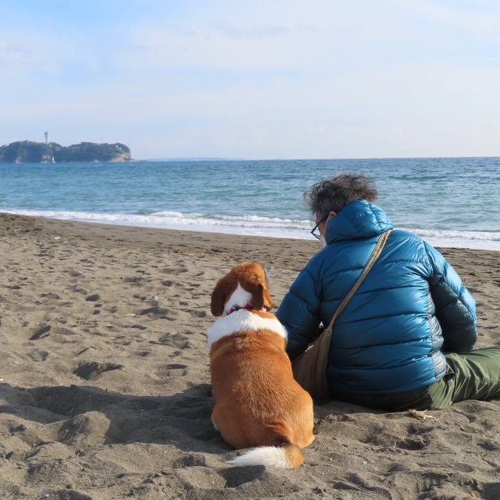 Be2cdce8 0831 492f 9b85 02bfc8106c9a 1643507963500